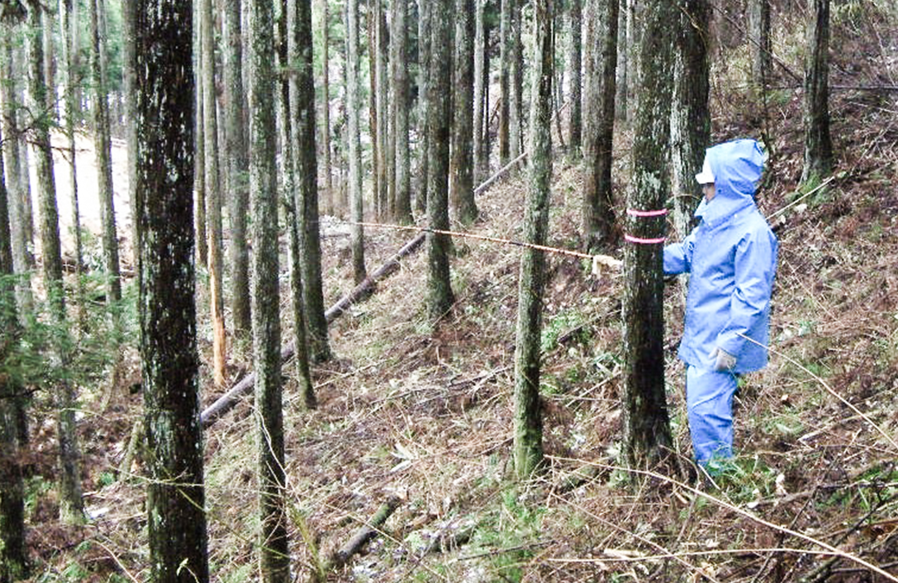 境界明確化に向けた事前調査