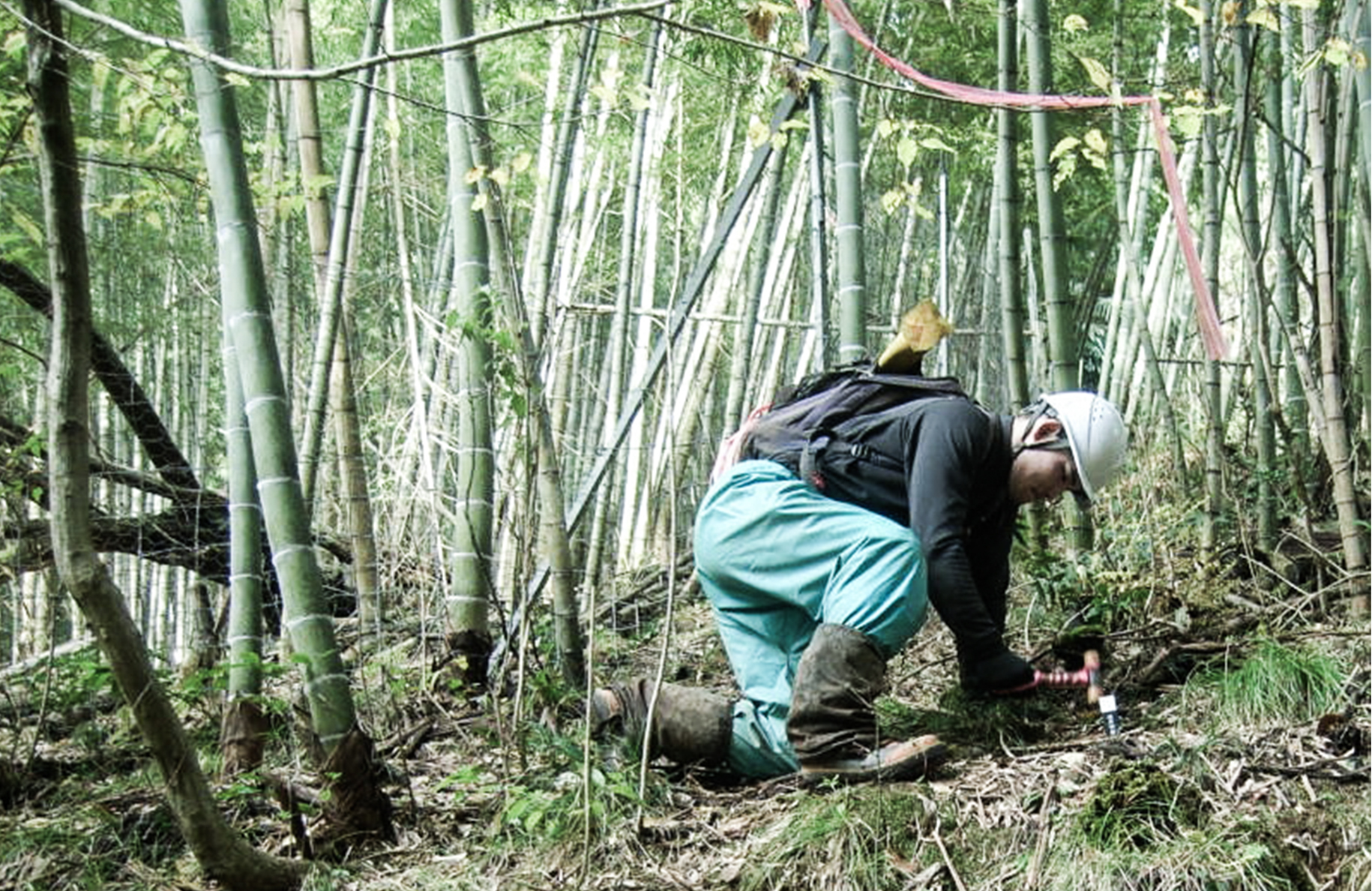 境界明確化現地調査